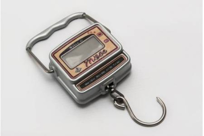 Электронные весы кантер - безмен ВНТ-30-10/54