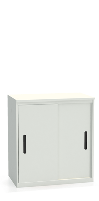 Шкаф-купе архивный ALS-8896